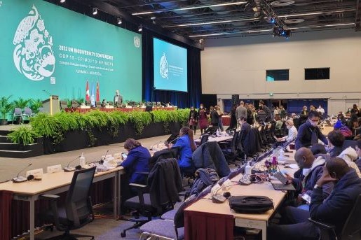 Blick in einen Verhandlungssaal während CBD COP 15 in Montreal